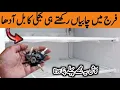 Download Lagu 🔴Very Useful Kitchen Tips That U Might Not Have Seen Before|Electric bill Saving Kitchen tips#fridge