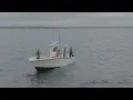 Black Sea Bass Fishing at a Cape Cod Shipwreck