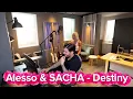 Lagu Alesso \u0026 SACHA – Destiny | Melodic Progressive Anthem