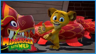 The Star Of The Parade🐉🎊 | DreamWorks Madagascar