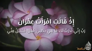 و إ ن  ي س م  ي ت ه ا م ر ي م              الشيخ  عبد الباسط دندنها