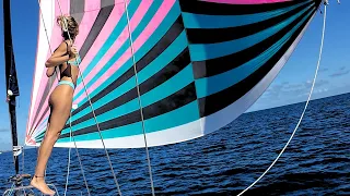 Dreamy Days | Perfect Sailing & Sharky Dives [ep 173]