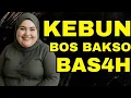 Download Lagu KISAH SEORANG IBU BOS BAKSO KUAT B4NG3T MEMINTA BANTUAN DENGAN TUKANG KEBUN UNTUK MENANAM T3R0N6