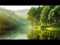 Download Lagu Musik Relaksasi : Terapi Otak Suara Alam Full, Relaksasi Tidur, Insomnia, Susah Fokus, Stress [162]
