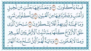 سورة يس من ختمة السور للقراء أحمد اسكينيد إبراهيم ونيس نجيب القبائلي مدينة أجدابيا  سورة يس من ختمة السور للقراء أحمد اسكينيد إبراهيم ونيس نجيب القبائلي مدينة أجدابيا