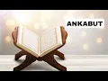 Download Lagu Qur'an_29 | Surah Ankabut (The Bee) | Sheikh Saud As-Shuraim | Words Of Allah