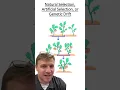 Types of Evolution