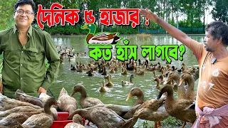 ১৮ বছর ধরে ডিমের হাঁস পালন! 🦆 কত হাঁস হলে প্রতিদিন ৫ হাজার টাকা লাভ? | চলনবিল, তাড়াশ