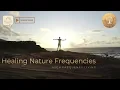 Rain Sounds ๏ 40Hz ๏ Gamma Waves for Deep Focus & Concentration | Healing Nature Frequencies
