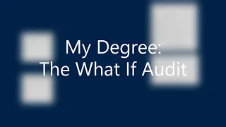 How to Use the What-If Audit