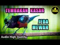 Download Lagu SUARA BURUNG KONIN TEMBAKAN KASAR GACOR FULL ISIAN JEDA MEWAH COCOK UNTUK KOLIBRI NINJA BAHAN IJOAN