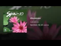 สร้อยแสงแดง - ชาญชัย ศรีทองแจ้ง