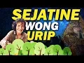 AJINE MENUNGSO URIP - Syair Kesempurnaan Hidup (with lirik)
