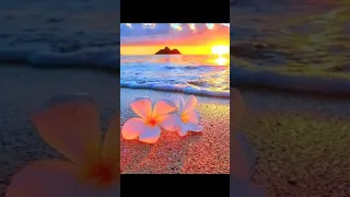 قال الشيطان أترك لي الاقوياء 