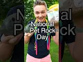 Download Lagu Meet rocky. My pet rock. #whatdayisit #pets