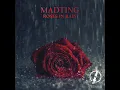 Roses in Rain