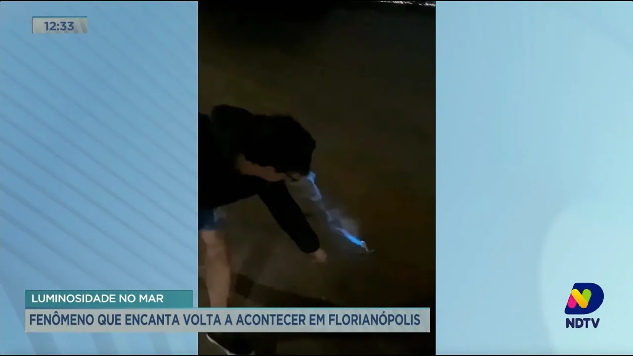 Luminosidade no mar: fenômeno que encanta volta a acontecer, em Florianópolis