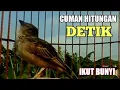Download Lagu BRANJANGAN PARVA Gacor , Cuma Hitungan Detik Yang Lain Ikut Bunyi