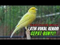 Download Lagu Pancingan Kenari GACOR  Mewah panjang Masteran Kenari PAUD \u0026 agar Kenari diam agar bunyi \u0026 gacor