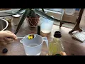 Measuring 300ml water and 3 tablespoons oil for bread recipe