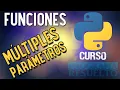 Multiples parametros en Python Multiples argumentos CURSO DE PYTHON 2021