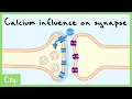 Download Lagu Calcium Role In Transmitter Release Explained (Necessary and Sufficient) | Clip