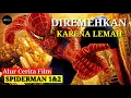Download Lagu AWAL MULA PETER DIGIGIT LABA LABA HINGGA JADI SPIDERMAN | Alur Cerita Film SPIDERMAN 1\u00262
