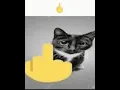 silly valorant cat montage