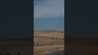 ها والموت اصبح يستنكي 