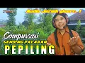 Lagu Campursari Gending Palaran ~ PEPILING || Cove Lagu + Lirik Audio Jernih Glerr
