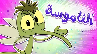 Marah Tv قناة مرح أغنية الناموسة 