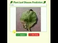AI Based Potato Leaf Disease Detection Smart Farming with Deep Learning