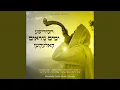 Download Lagu Koli