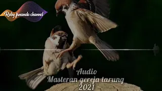 Download Audio masteran gereja tarung terbaru terpopuler 2021 MP3