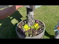 Humboldt County Neighborhood s Free Book Box Filmed By Adrienne Floreen 2023 2 Of 2