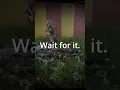 Reforger AI are Savage