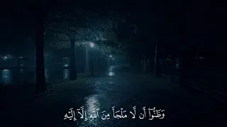 حتي اذا ضاقت عليهم الارض بما رحبت القارئ شادي هاني 