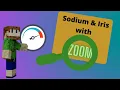 A full OptiFine Replacement in 1 17 1 - Sodium Iris Zoom Dynamic Light and Fog in 5 minutes