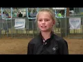 2026 Ohio State Fair Grand Champion Market Barrow - Parker Elchinger Henry County