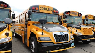 2026 Bluebird Vision - Full Tour Reds