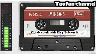 Download Colak colek oleh elvy sukaesih MP3