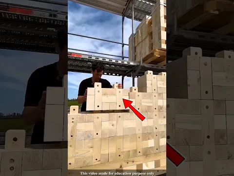 Why are Germans building Lego-style houses out of wood these days?#shortvideo