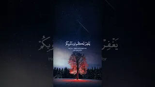 سورة الاحقاف تلاوة رائعة تقشعر لها الابدان للشيخ ياسر الدوسري 