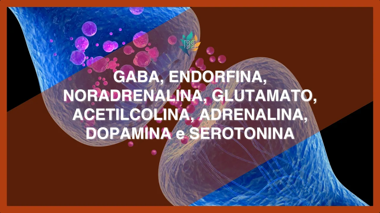NEUROTRANSMISSORES do zero: conceito, receptores e mecanismo de ação | Fisiologia Celular