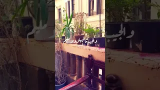 صباح الصباح فتاح يا عليم صباح الخير مع فيروز 