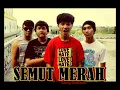 Semut Merah Biarkan Semua Menghilang