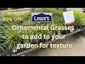 Lowes Clearance Plant Shopping