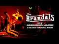 Download Lagu The Brandals Live at #kamibukankomoditas Migrant Care MP3