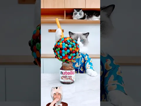 Kucing marah nggak bisa cocol coklat #shorts