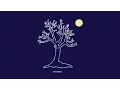 Download Lagu Roy Woods - Drama feat. Drake (Audio) @RoyWoods